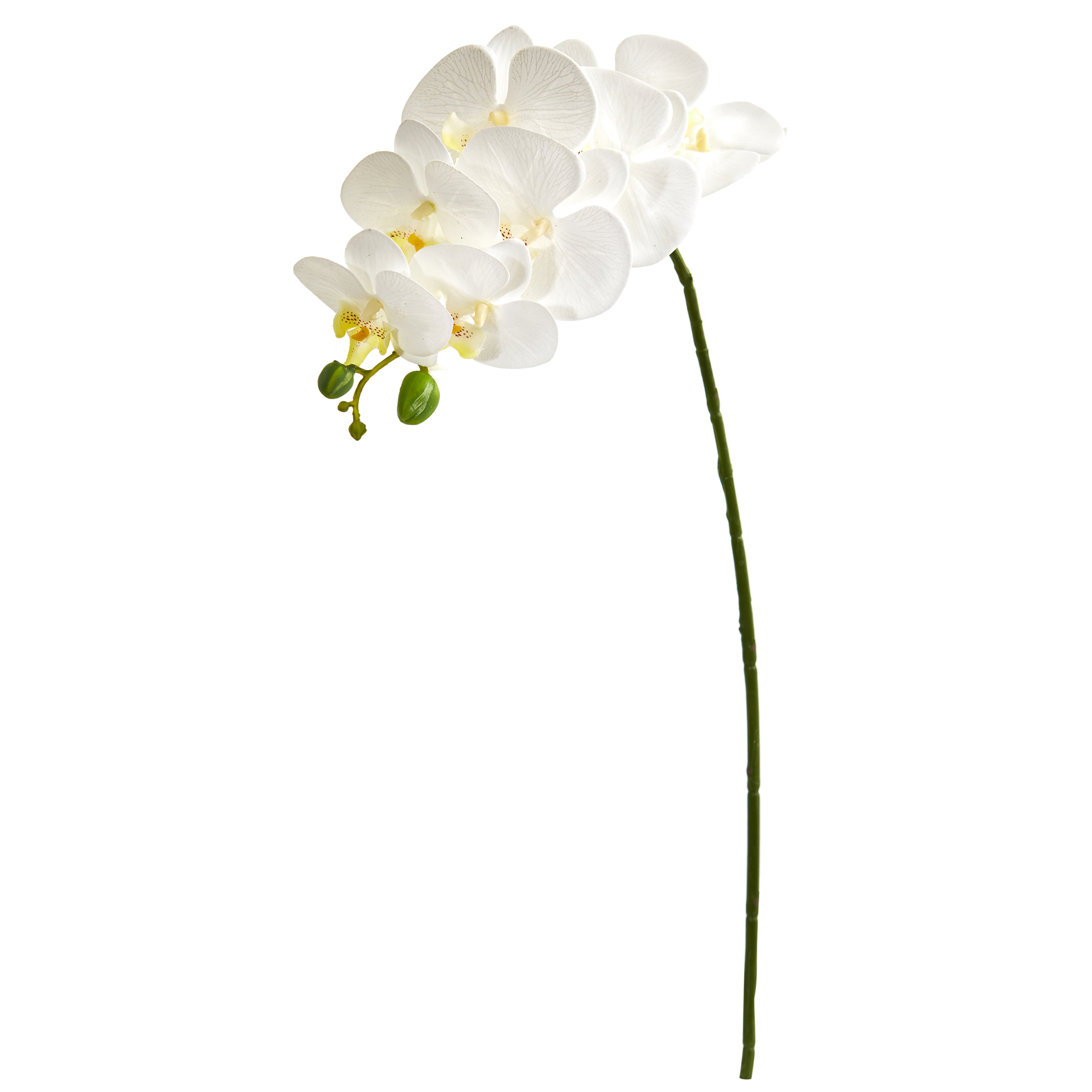 Orchid Phalaenopsis Artificial Flower Stem 6 Pcs Nearly Natural 28 White Decor Ebay