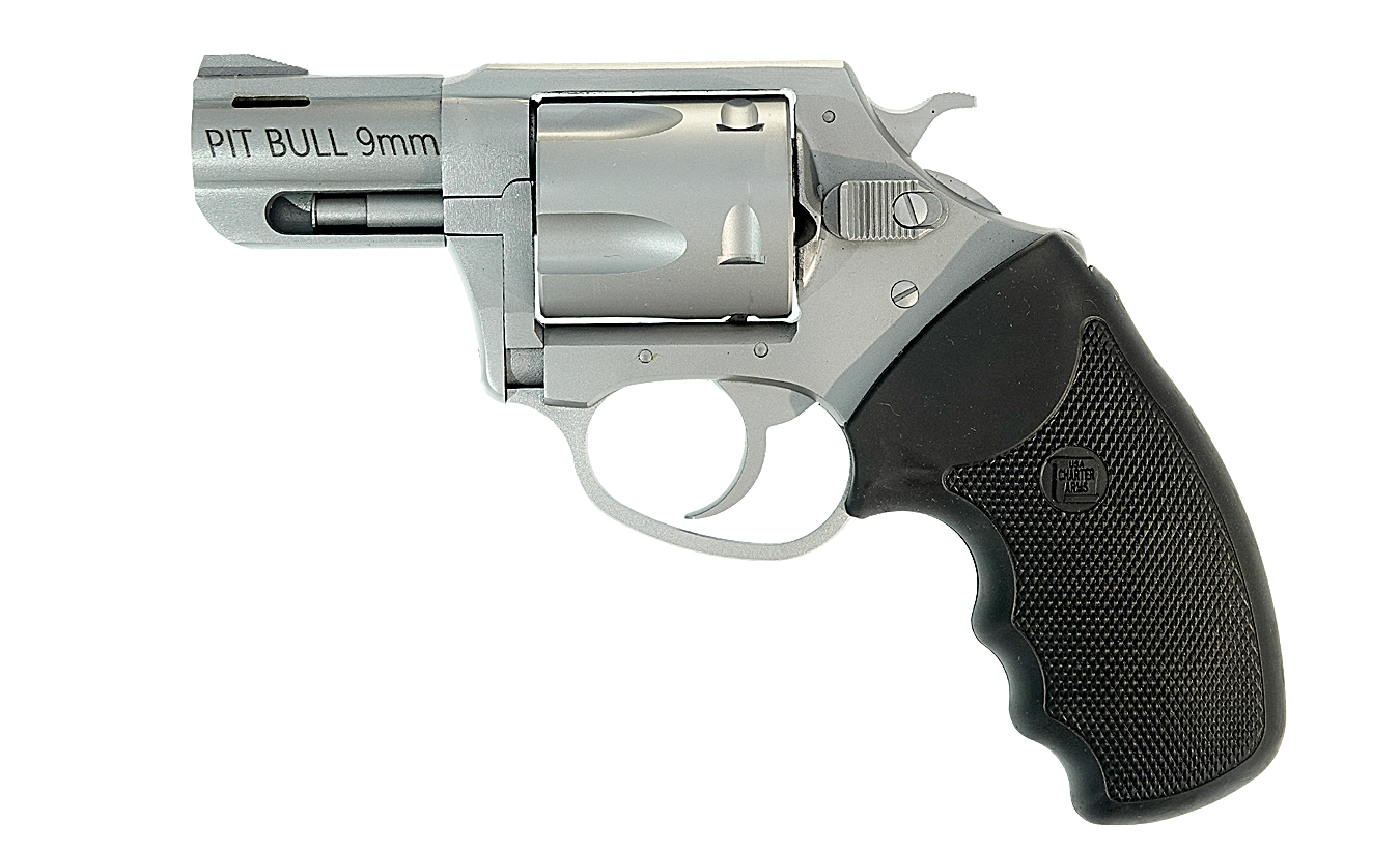 Charter Arms Pitbull 9mm 2" Stainless 5rd. #79920 New FREE SHIP-img-0