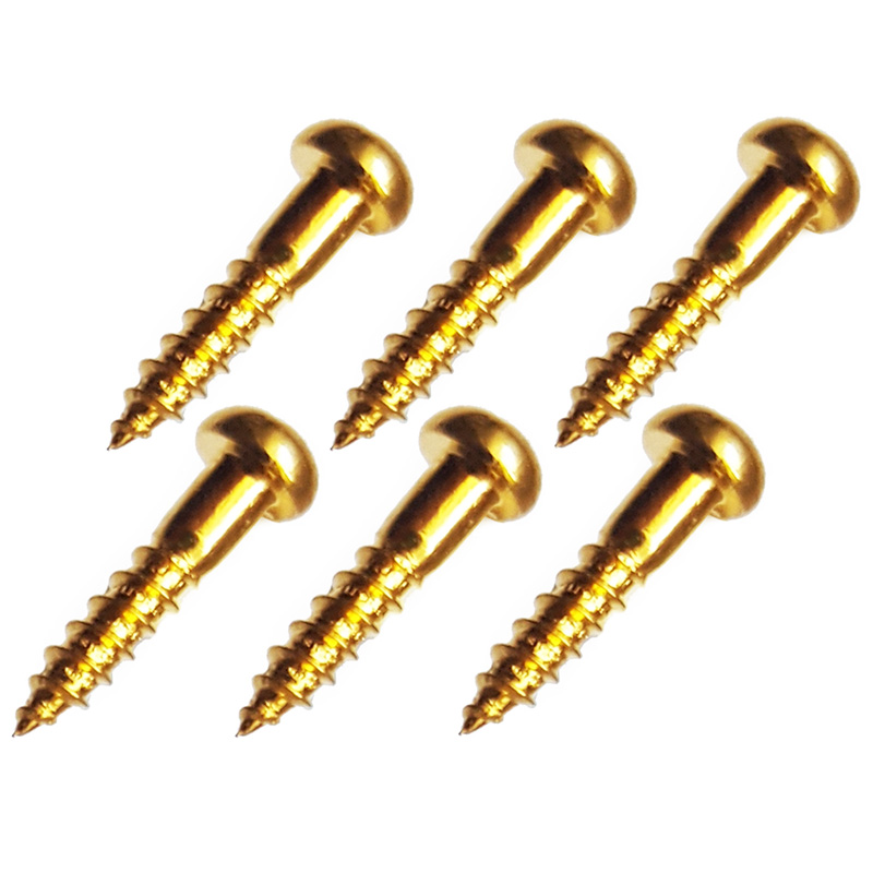 Gotoh WS02G Gold Machine Head Screws Set of 6 eBay