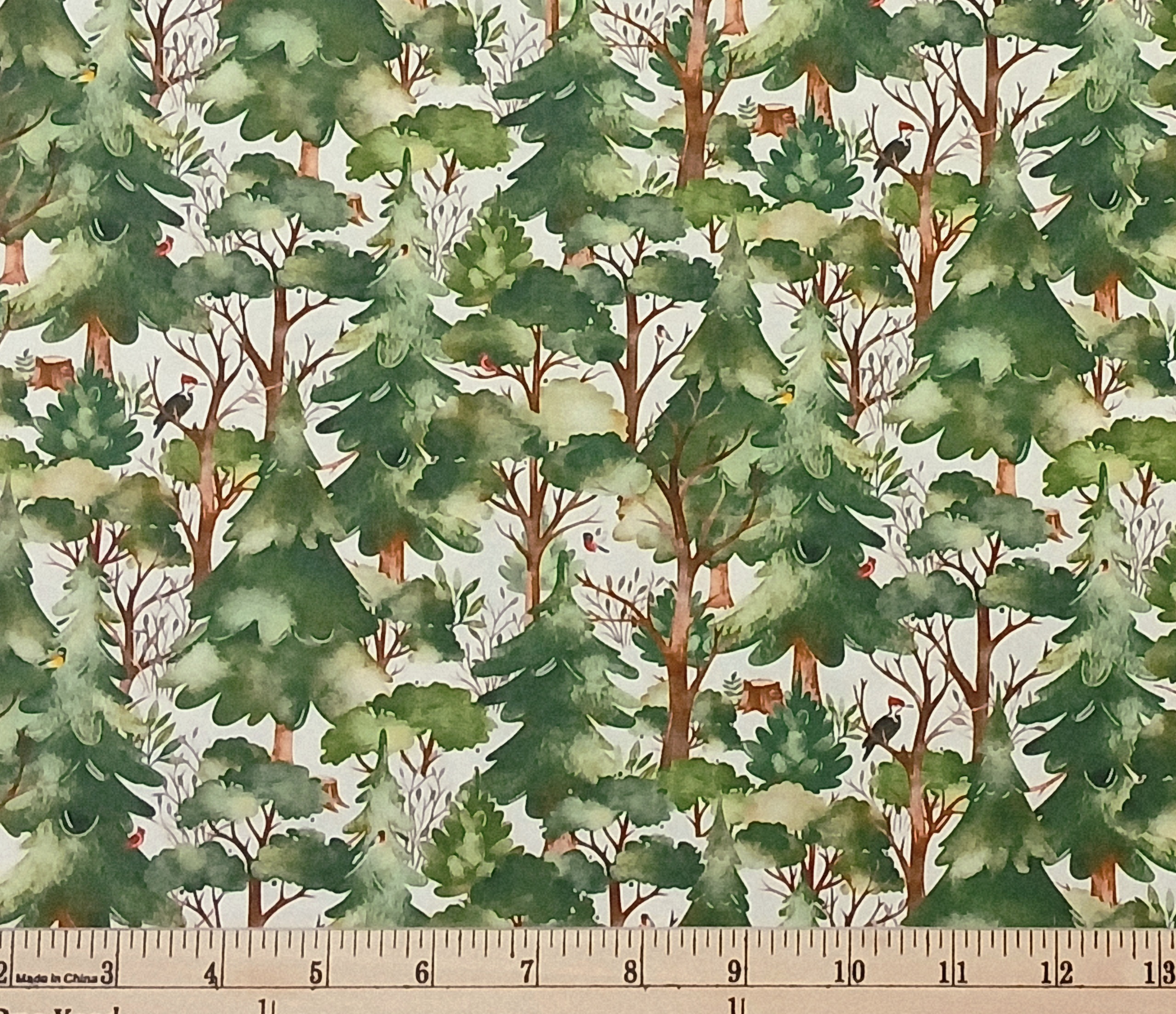 Cotton Who Lives in the Woods Birds Woodpecker Forest Trees Woodland Habitat on White Elizabeth Studios Cotton Fabric Print by the Yard (726WHITE)
