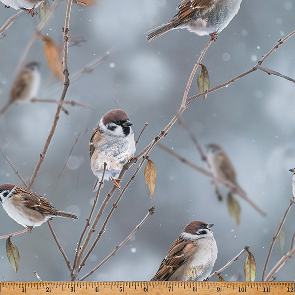 Cotton Call of the Wild All Over Sparrows Digital Print Birds Branches Hoffman California Fabrics Cotton Fabric Print by the Yard (X5569-543-SPARROW)
