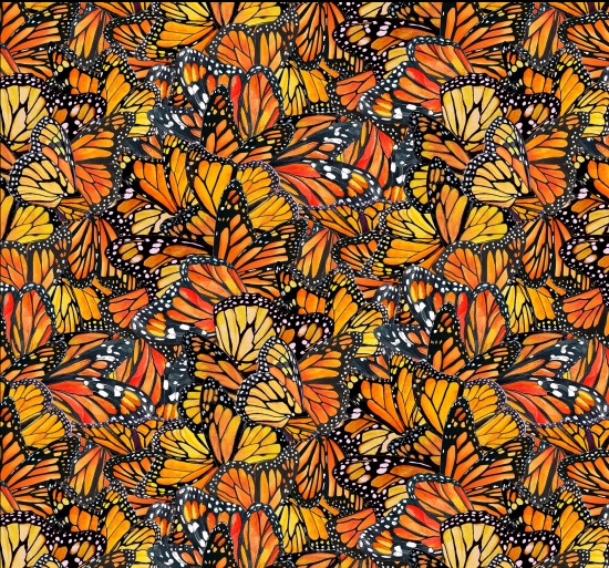 Cotton Monarch Dance Nature's Music Butterflies Packed All Over Butterfly Wings Elizabeth Studios Cotton Fabric Print by the Yard (711MULTI)