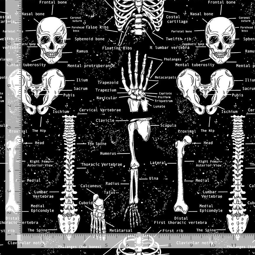 Cotton Spaced Out Skeletons Skulls Bones Human Body Anatomy Science Timeless Treasures Jet Black Cotton Fabric Print by the Yard (FUN-CD9810-JET)