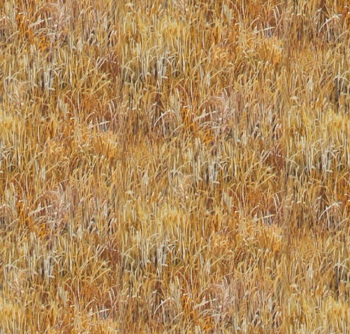 Cotton Landscape Medley Gold Grass Coordinate Field Autumn Elizabeth Studios Gold Cotton Fabric Print by the Yard (48001GOLD)