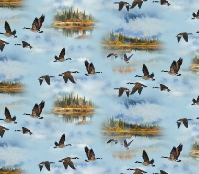 Cotton Wings Flying Geese Autumn Scenic Homeward Bound Pine Trees Cloudy Sky Elizabeth Studios Blue Cotton Fabric Print by the Yard (48000BLUE)