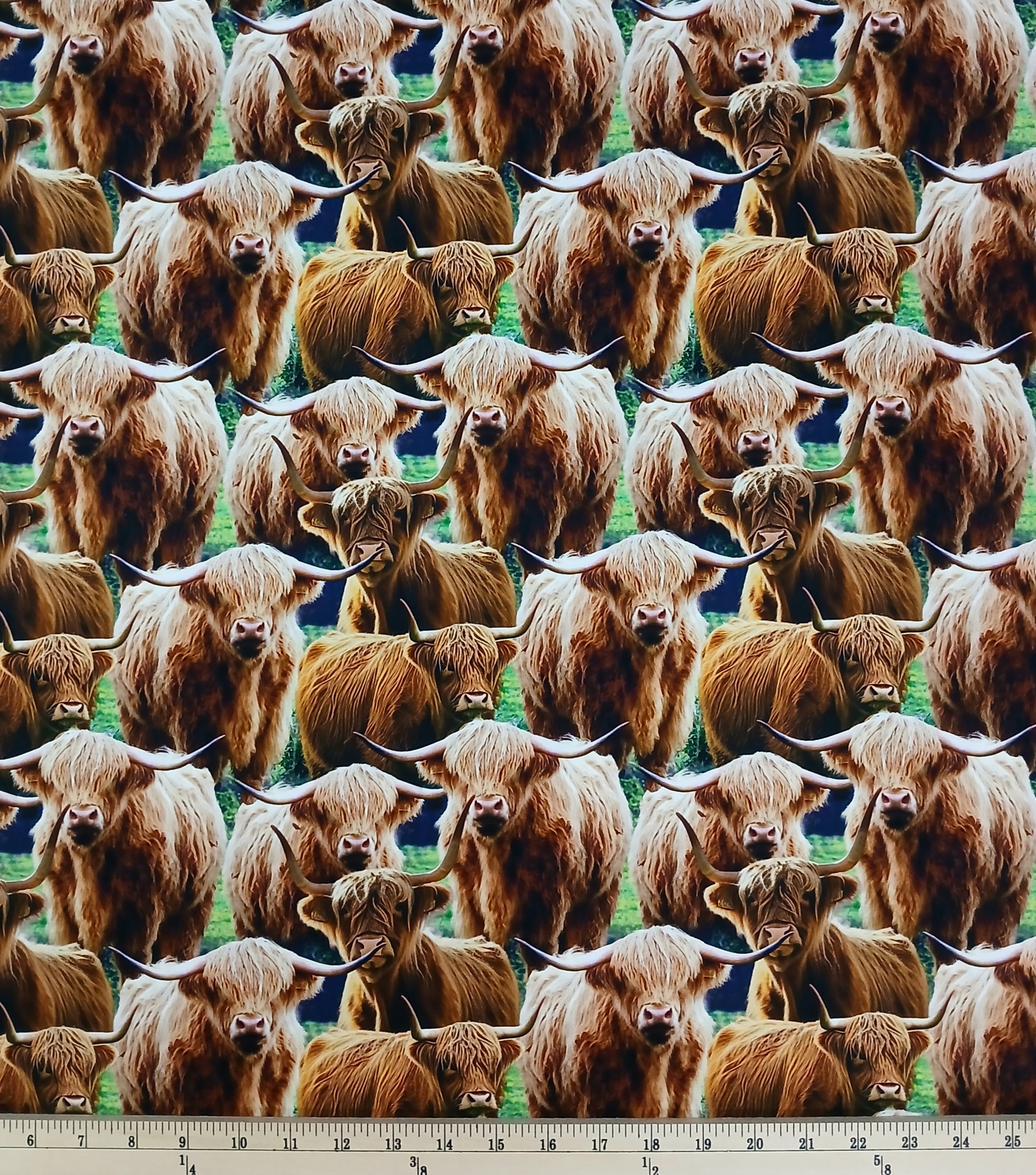 Cotton Highland Cows Farm Animals Creatures Packed All Over David Textiles Cotton Fabric Print by the Yard (DX-6664-4C)