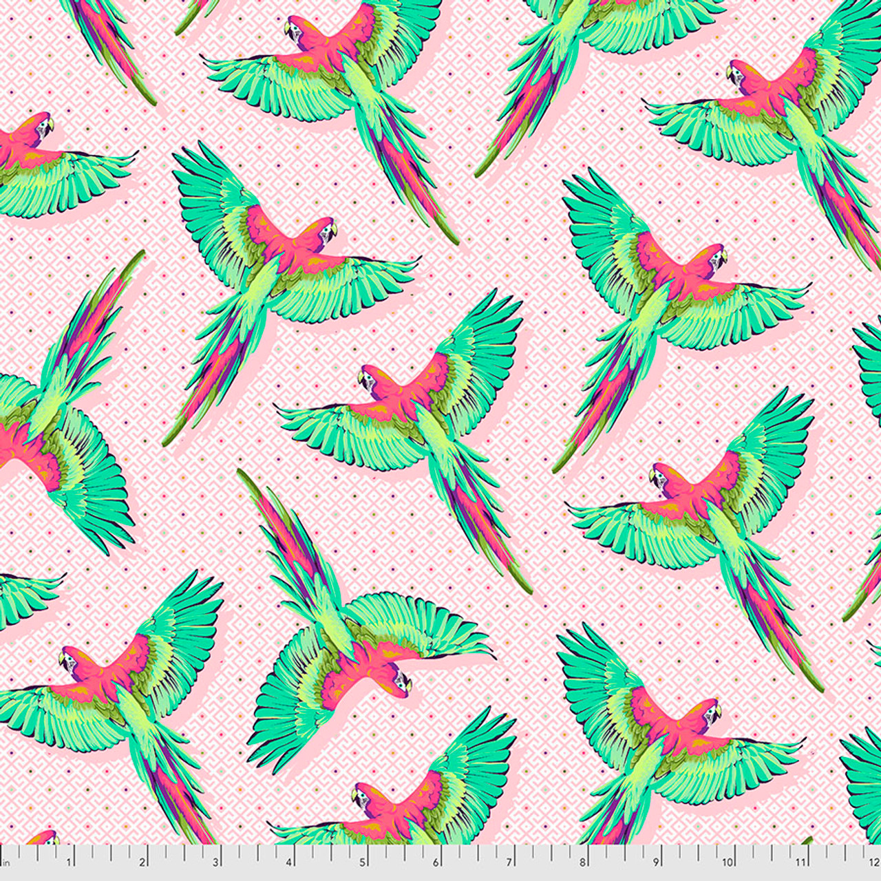 Cotton Daydreamer Macaws Parrots Colorful Bird Free Spirit Cotton Fabric Print by the Yard (PWTP170-DRAGONFRU)