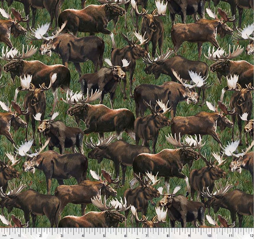 Cotton Wild Animals Moose All Over Landscape Grass Windham Fabrics Cotton Fabric Print by the Yard (55029D-1)