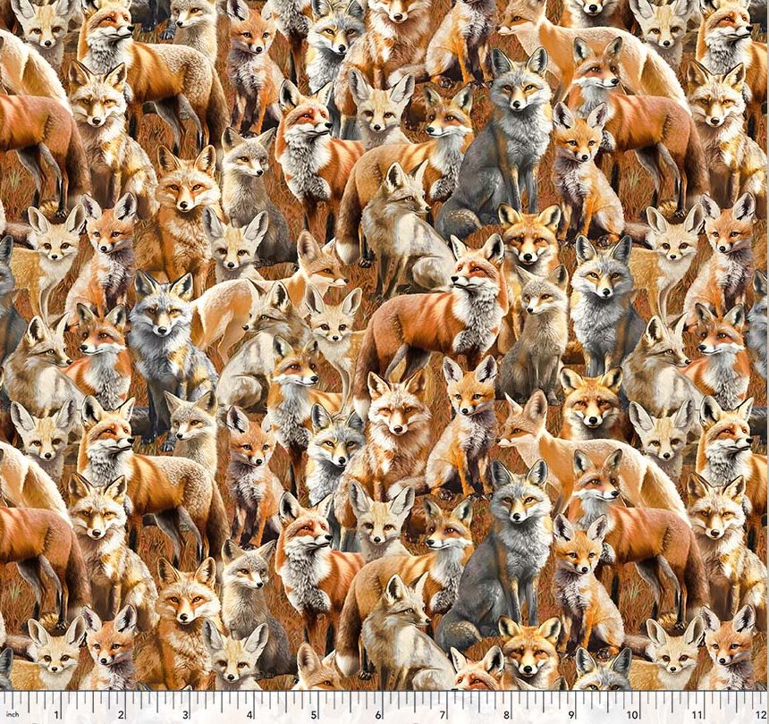 Cotton Wild Animals Foxes Fennec Fox Animals Wildlife Packed Windham Fabrics Cotton Fabric Print by the Yard (55034D-1)