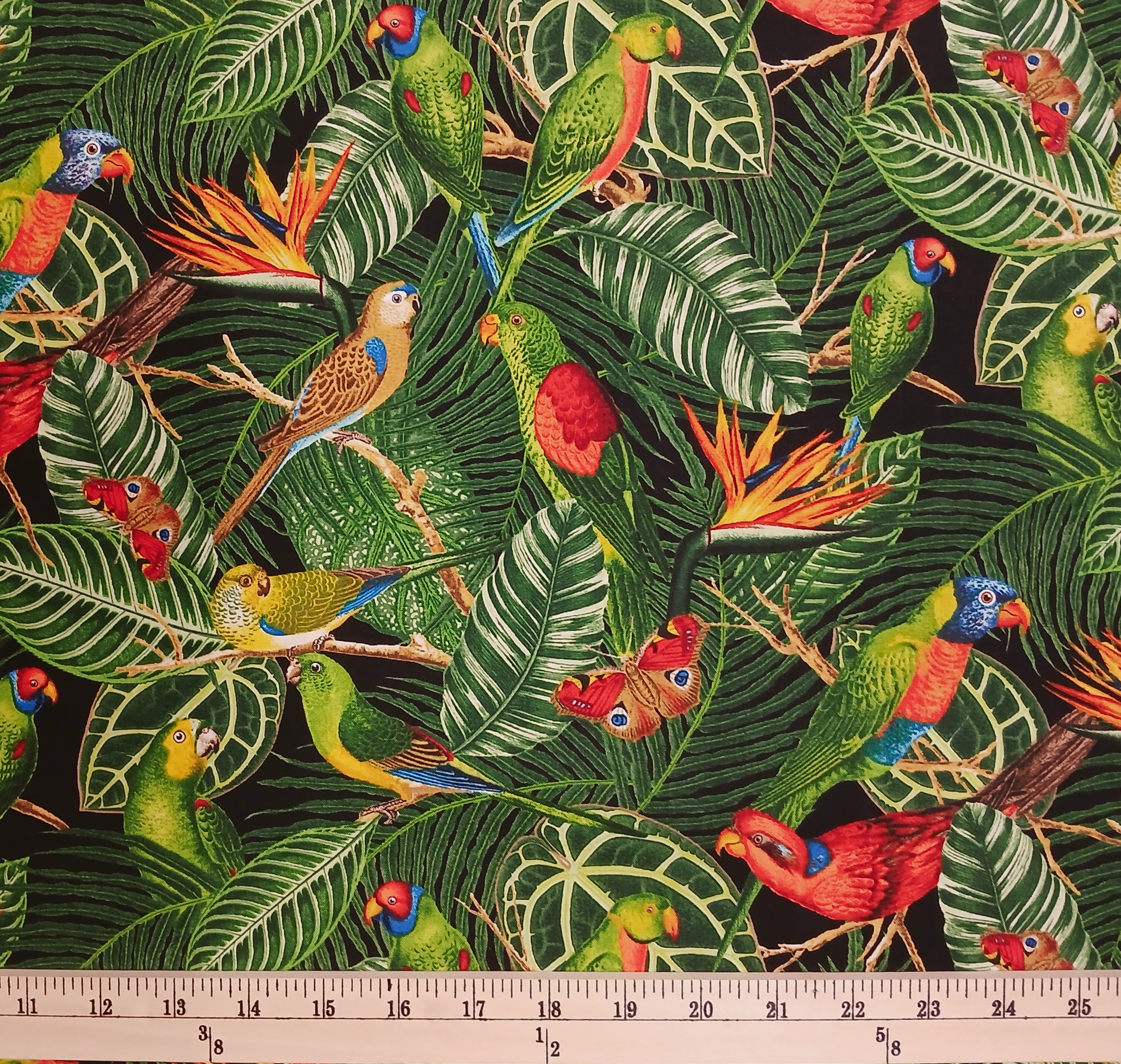 Cotton Tropical Parrots Birds Butterflies Leaves Jungle Birds Allover Timeless Treasures Cotton Fabric Print by the Yard (FUN-C6993)