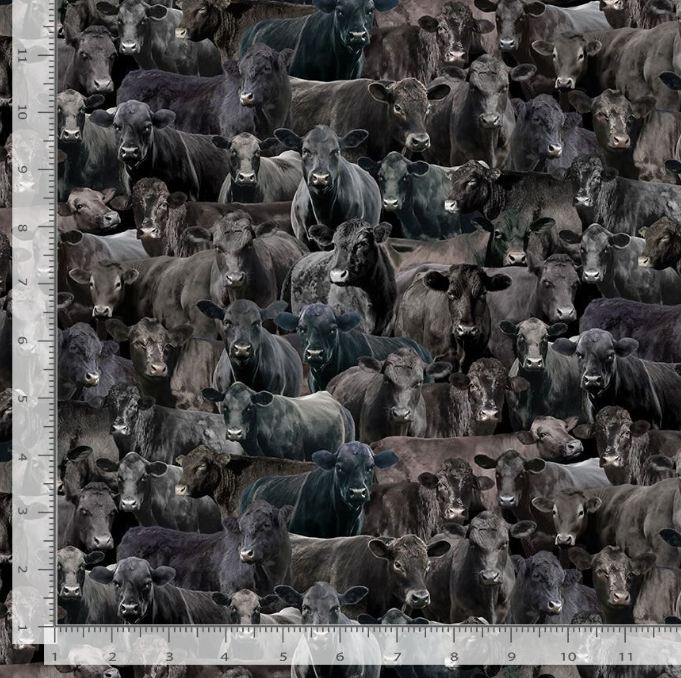 Cotton Home on the Range Cattle Breeds Cows Farmland Farms Timeless Treasures Cotton Fabric Print by the Yard (WEST-CD3867-BLACK)