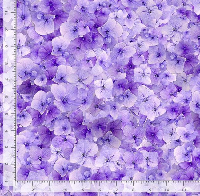 Cotton Garden Delight Pansies Flowers Blossoms Blooms Botanicals Timeless Treasures Cotton Fabric Print by the Yard (FLEUR-CD3505)