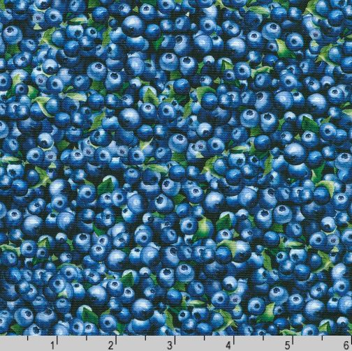 Cotton Blueberry Brunch Packed Fruit Leaves Fresh Berries Garden Robert Kaufman Cotton Fabric Print by the Yard (SRKD-23282-77)