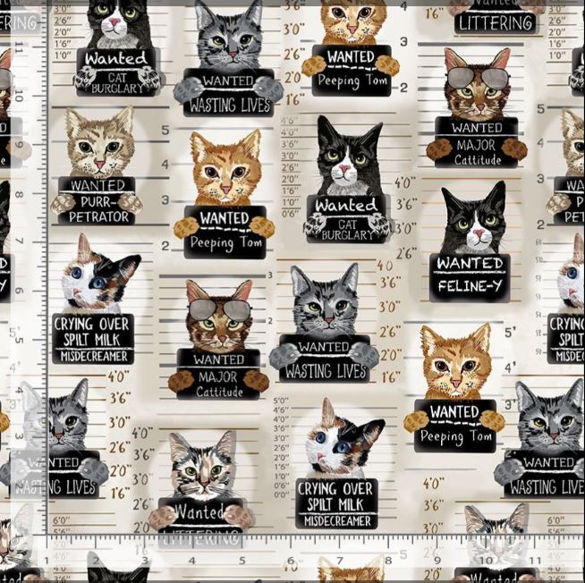 Cotton Quirky Cats Meow You Doing? Cat Mug Shots Crimes Cattitude Timeless Treasures Cotton Fabric Print by the Yard (GAIL-CD3061)