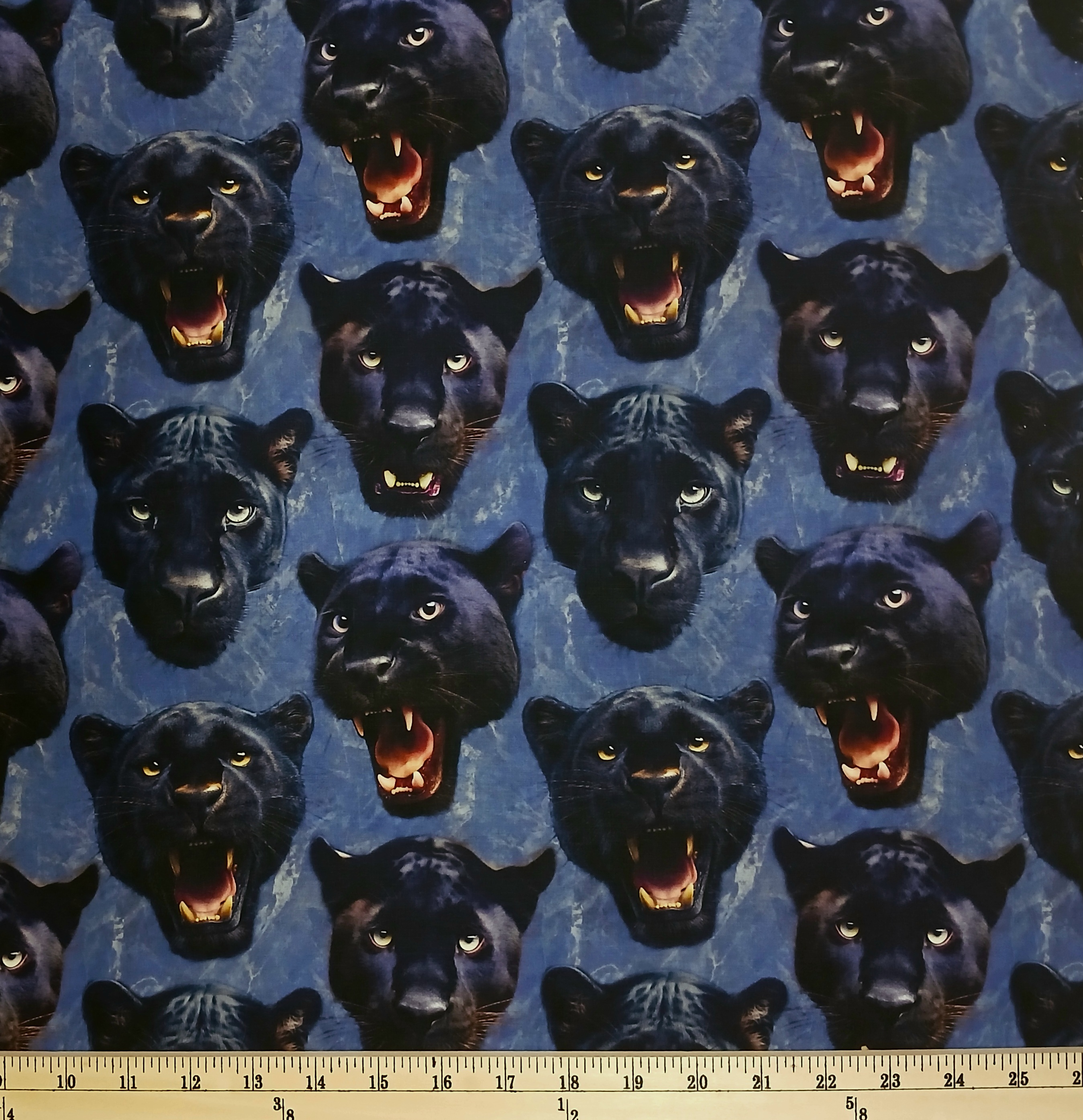 Cotton Mascot Madness Panthers Black Panthers Teeth Animals Sykel Enterprises Cotton Fabric Print by the Yard (10558-PANTHERS)