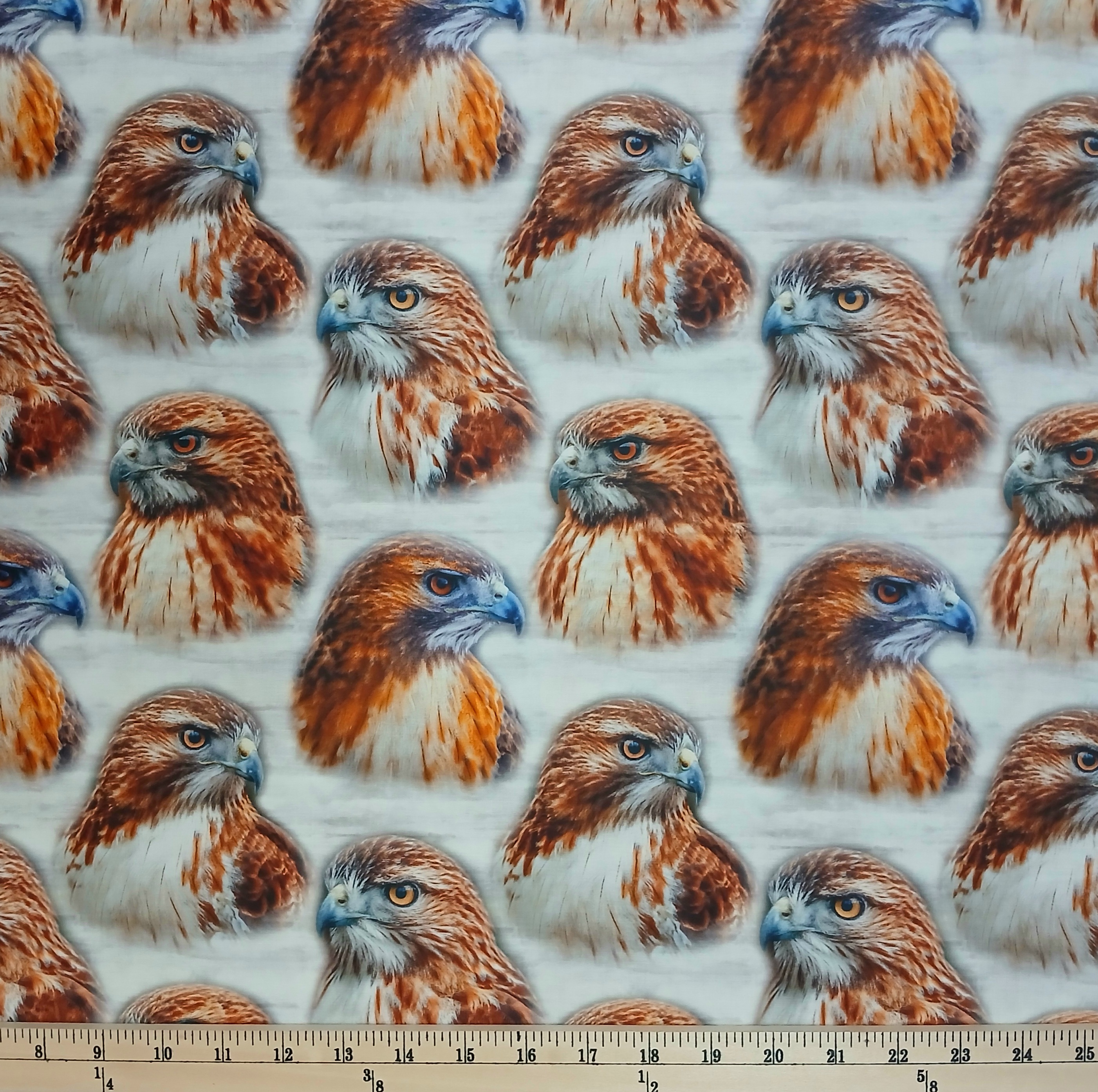 Cotton Mascot Madness Hawks Birds Red-Tailed Hawks Animals Sykel Enterprises Cotton Fabric Print by the Yard (10558-HAWKS)