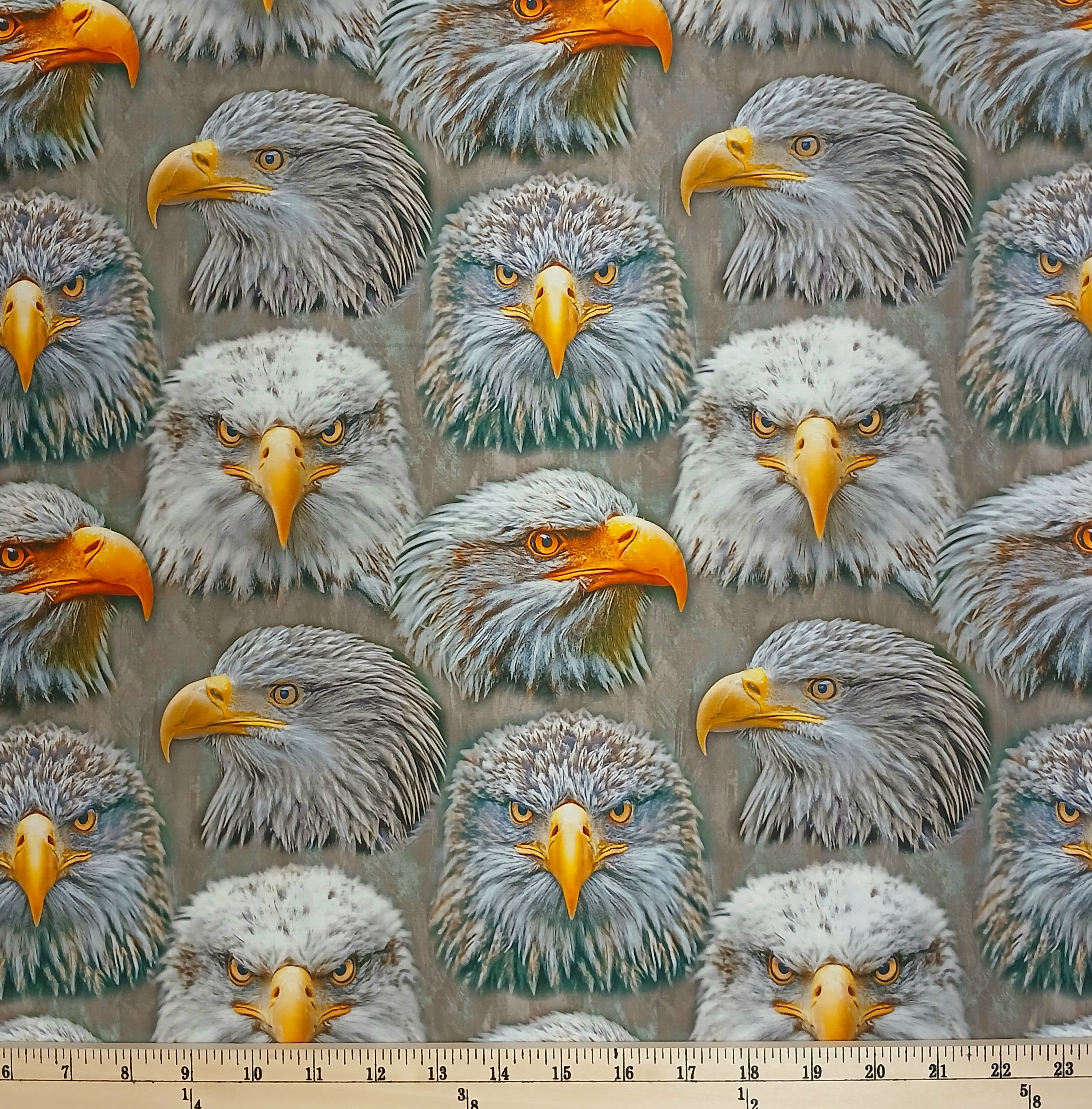 Cotton Mascot Madness Eagles Birds Bald Eagle Heads Beaks Animals Sykel Enterprises Cotton Fabric Print by the Yard (10558-EAGLES)