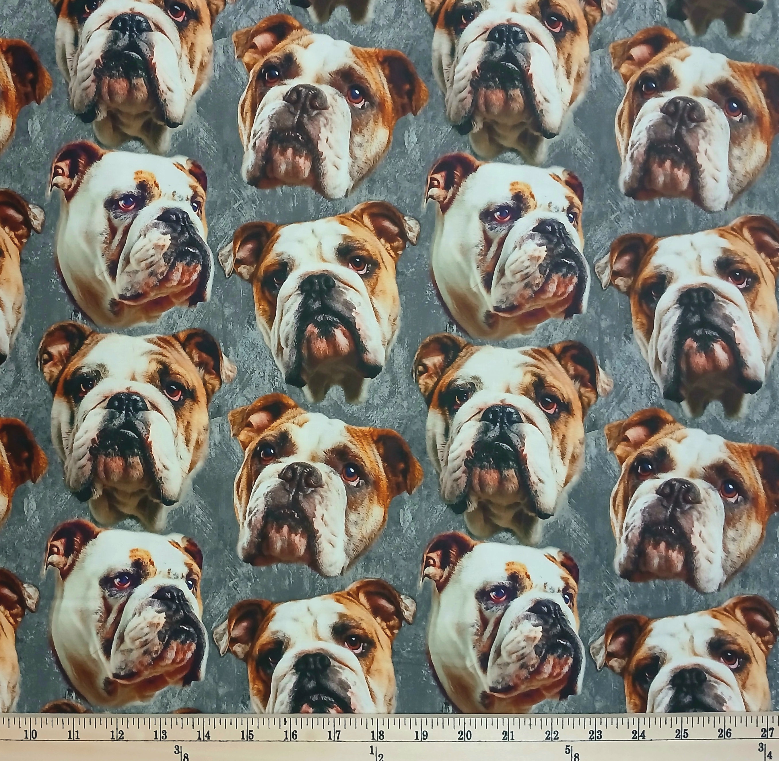 Cotton Mascot Madness Bulldogs Animals Dog Heads on Gray Sykel Enterprises Cotton Fabric Print by the Yard (10558-BULLDOGS)