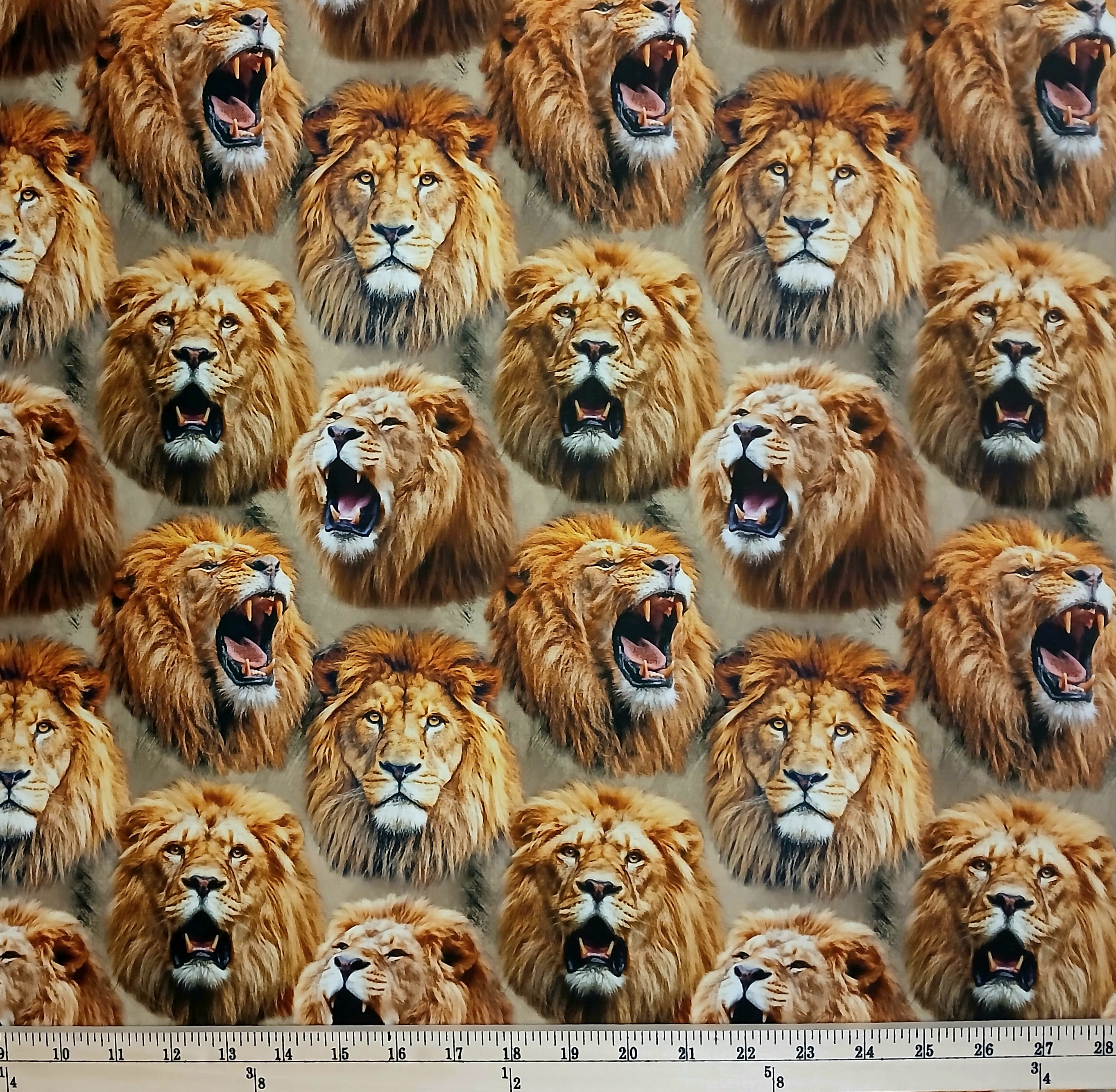 Cotton Mascot Madness Lions Animals African Lion Heads on Brown Sykel Enterprises Cotton Fabric Print by the Yard (10558-LIONS)