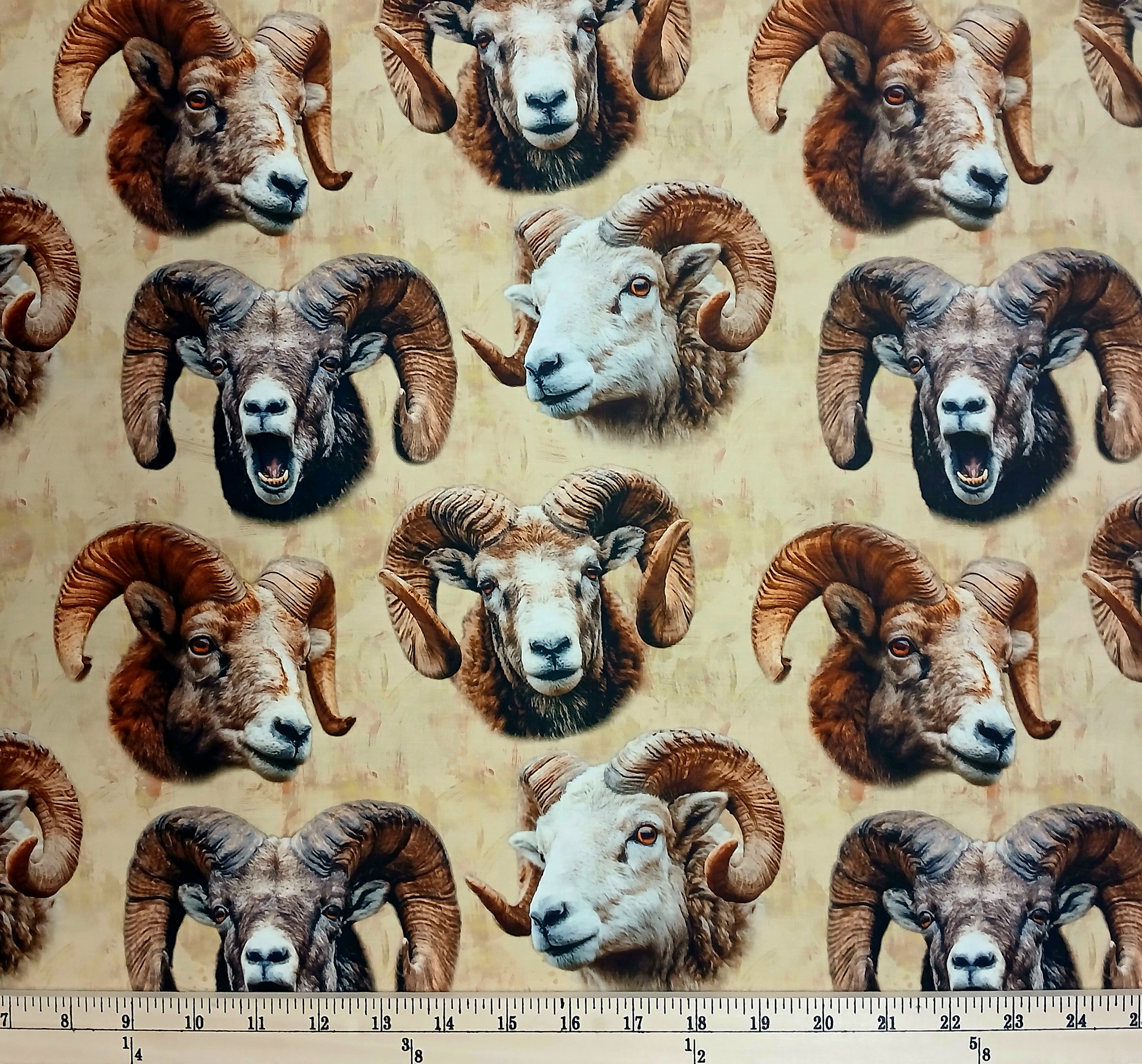 Cotton Mascot Madness Rams Animals Sheep Horns Ram Heads on Tan Sykel Enterprises Cotton Fabric Print by the Yard (10558-RAMS)