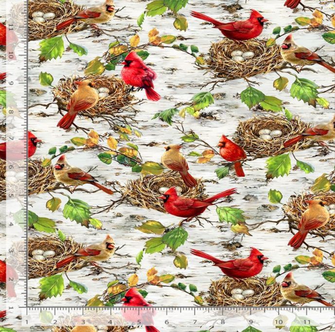 Cotton Secret Hollow Cardinals Bird Nest Eggs Birch Tree Leaves Timeless Treasures Cotton Fabric Print by the Yard (DONA-CD4269)