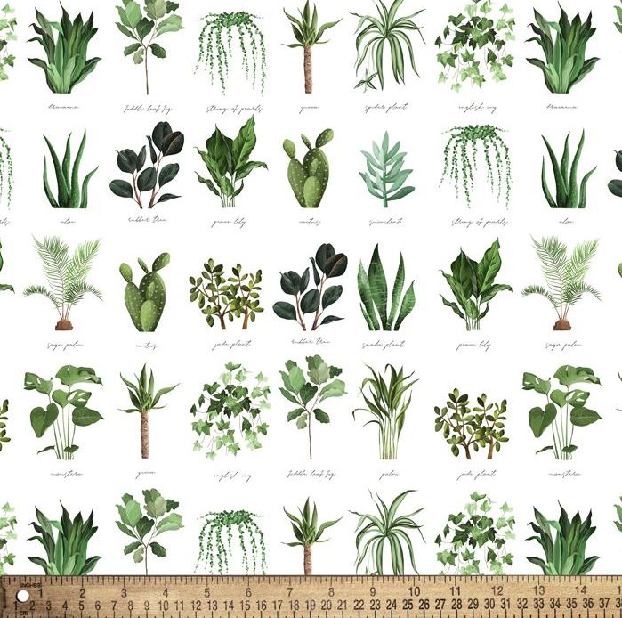 Cotton Plant Names Botany Garden Vegetation Growth Cacti Aloe Fern David Textiles Cotton Fabric Print by the Yard (DX-4445-4C)