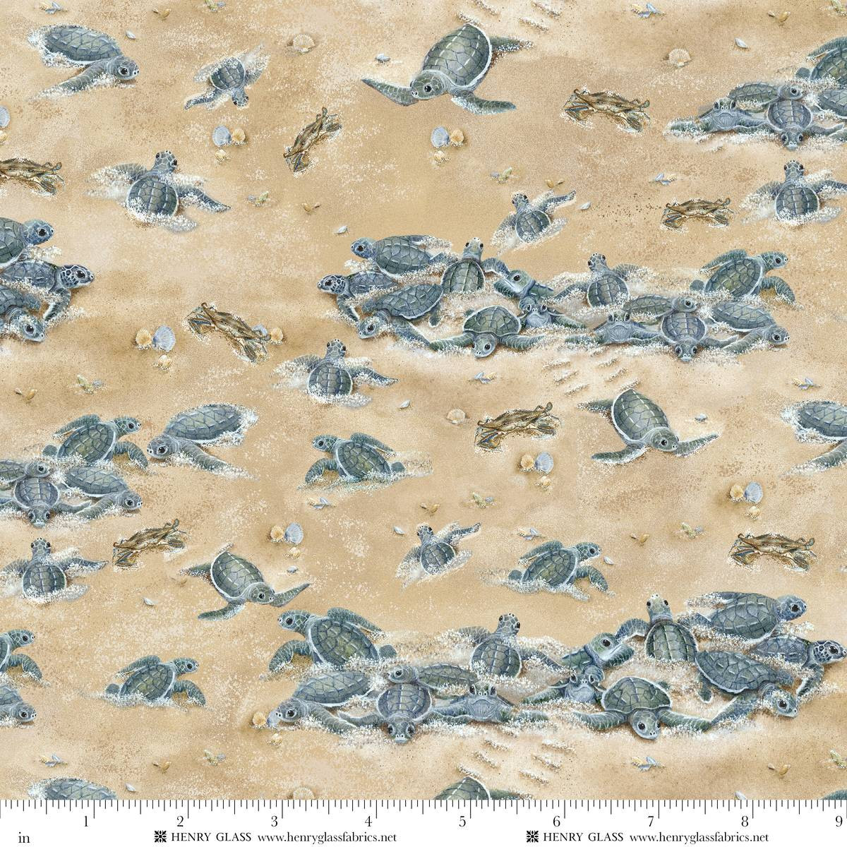 Cotton Window to Paradise Baby Sea Turtles Sandy Ocean Beaches Shells Henry Glass Sand Cotton Fabric Print by the Yard (2334-31)